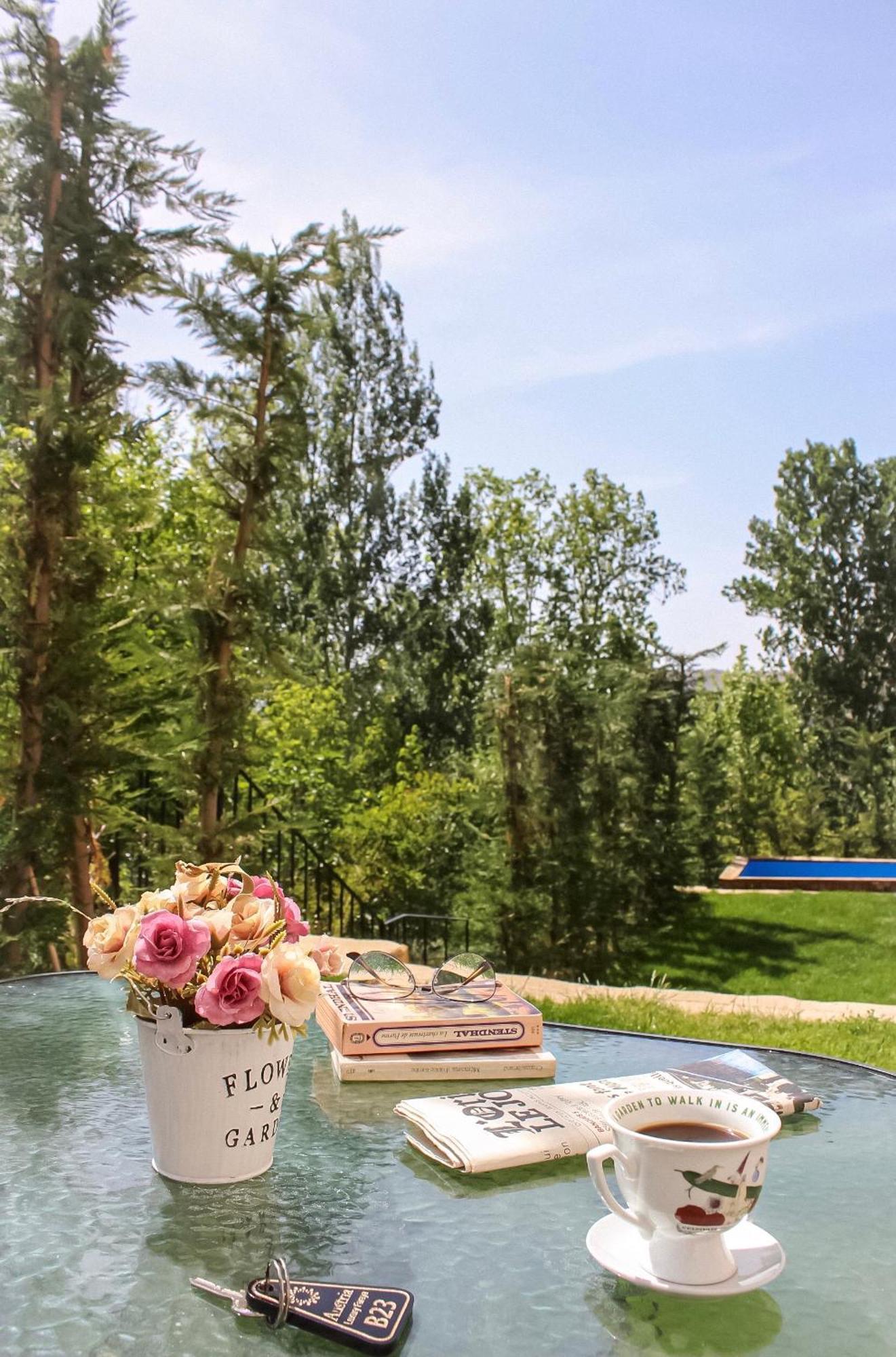 Austria Luxury Apartments, Faraya Hotel Buitenkant foto